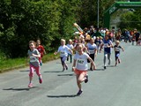 P1060071 (2)_N